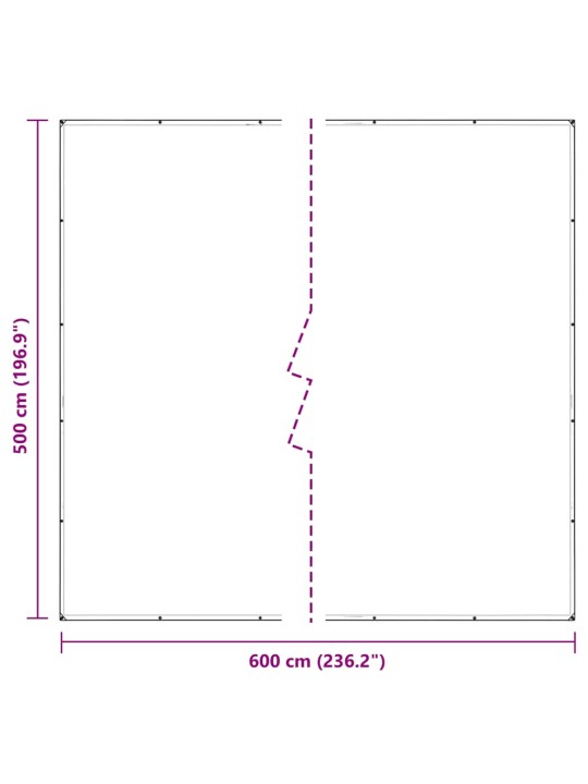 LÄBIPAISTEV PRESENT AASADEGA 5X6 M PVC