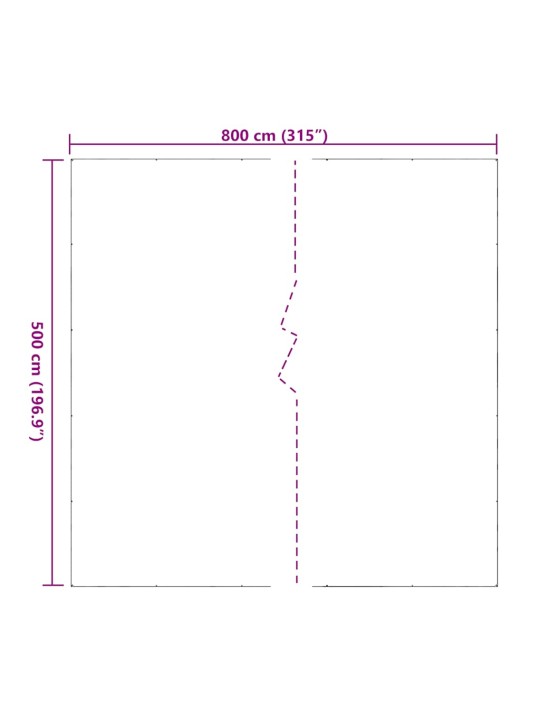 LÄBIPAISTEV PRESENT AASADEGA 5X8 M PVC