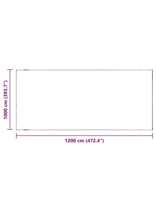 LÄBIPAISTEV PRESENT AASADEGA 5X12 M PVC