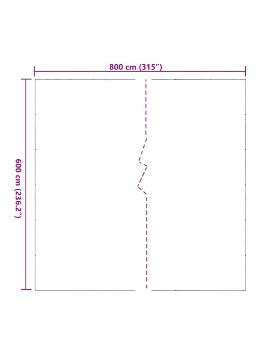 LÄBIPAISTEV PRESENT AASADEGA 6X8 M PVC