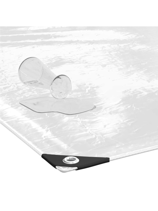 LÄBIPAISTEV PRESENT AASADEGA 6X10 M PVC
