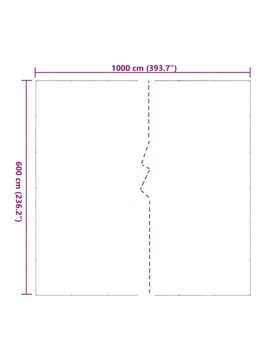 LÄBIPAISTEV PRESENT AASADEGA 6X10 M PVC