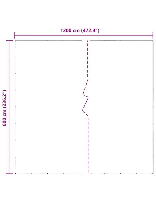 LÄBIPAISTEV PRESENT AASADEGA 6X12 M PVC