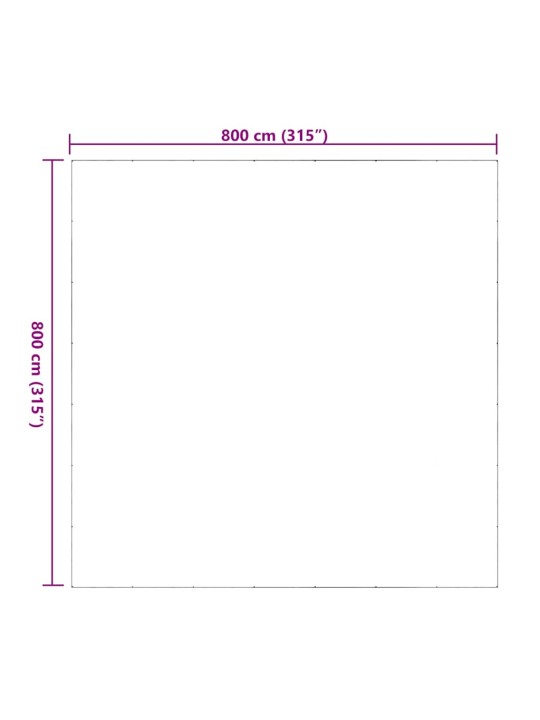 LÄBIPAISTEV PRESENT AASADEGA 8X8 M PVC