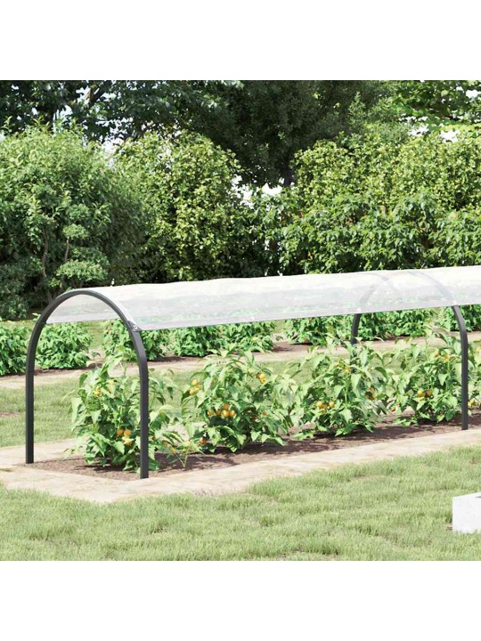 AASADEGA TAIMEKATE 1X10 M POLÜETÜLEEN