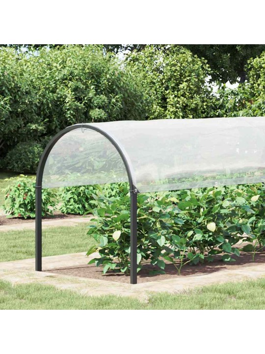 AASADEGA TAIMEKATE 2X5 M POLÜETÜLEEN