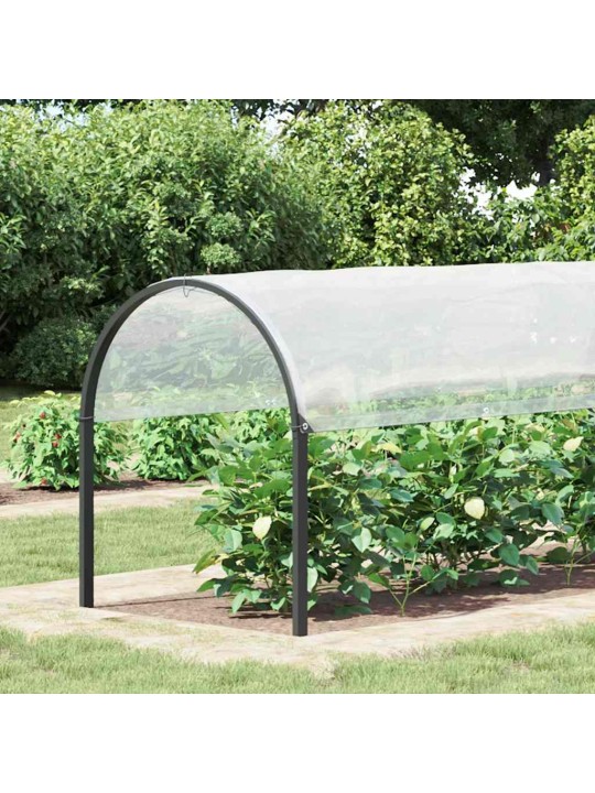 AASADEGA TAIMEKATE 2X6 M POLÜETÜLEEN