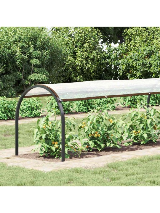AASADEGA TAIMEKATE 1X10 M POLÜETÜLEEN