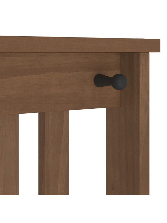 ESIKUPINK, 110 X 40 X 60 CM, MÄNNIPUIT