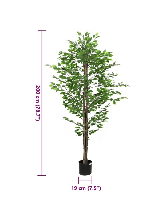 KUNSTLIK FICUS PLANT 1260 LEHED 200 CM ROHELISED