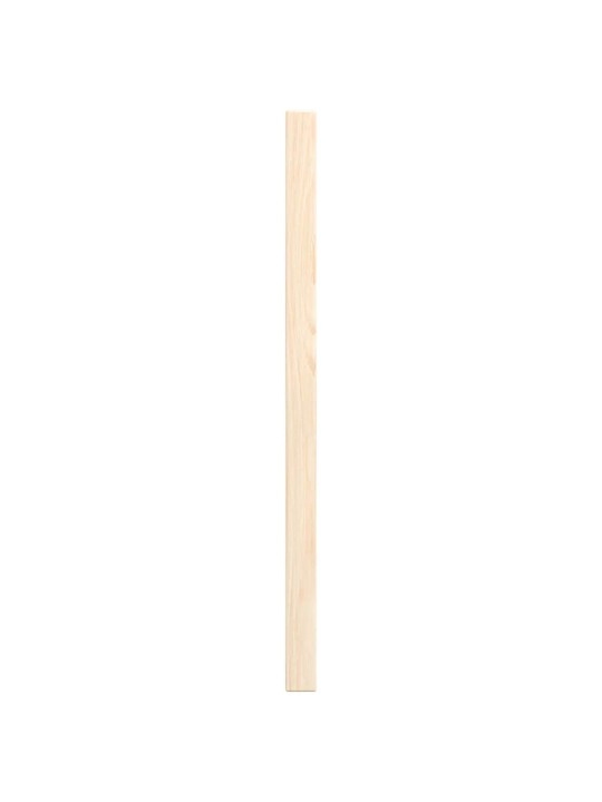 KAPIUKSED VÕREDEGA DISAIN 2 TK 39,5X29,5 CM TÄISPUIDUST MÄND