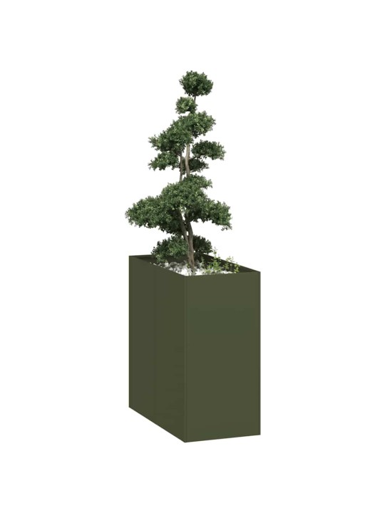 AIA TAIMEKAST, OLIIVIROHELINE, 40X80X80 CM, TERAS