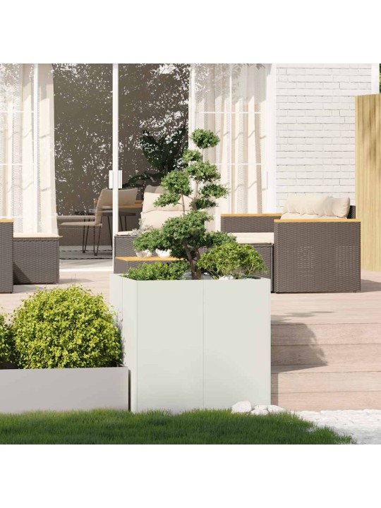 TAIMEKAST VALGE 80X80X80 CM, TERAS