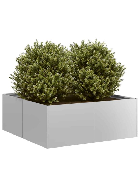 TAIMEKAST, 80X80X30 CM, TSINGITUD TERAS