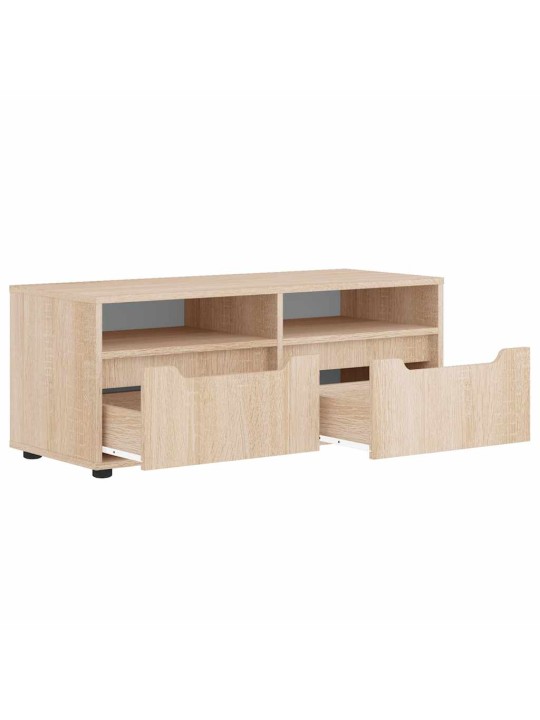 TELERIKAPP "VISNES" SONOMA TAMM 100X40X38 CM EHITUSPUIT