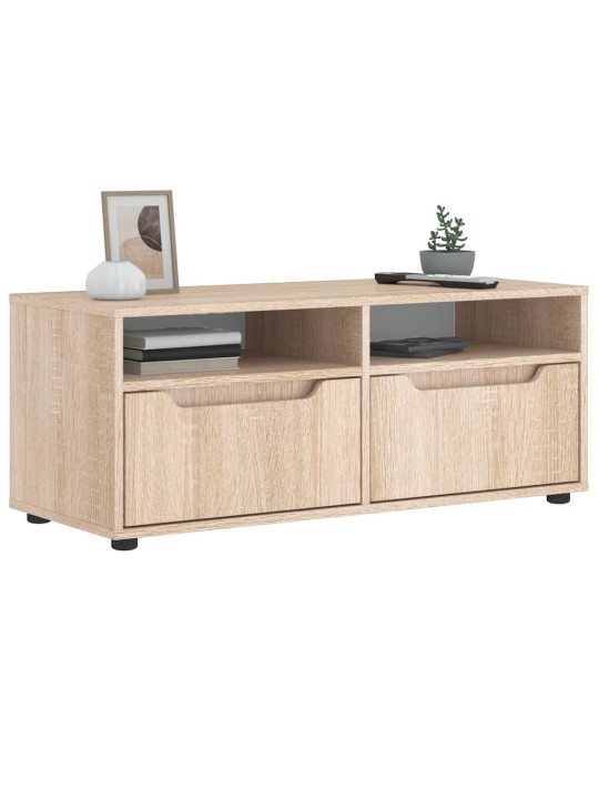 TELERIKAPP "VISNES" SONOMA TAMM 100X40X38 CM EHITUSPUIT