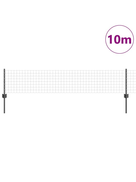 Aed koos postidega hall 0.4 x 10 m teras