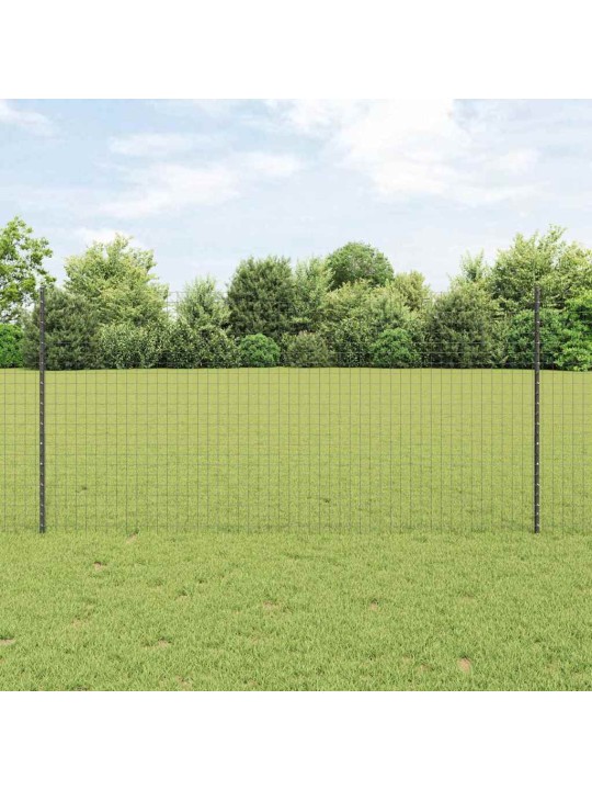 Aed koos postidega hall 1.2 x 10 m teras