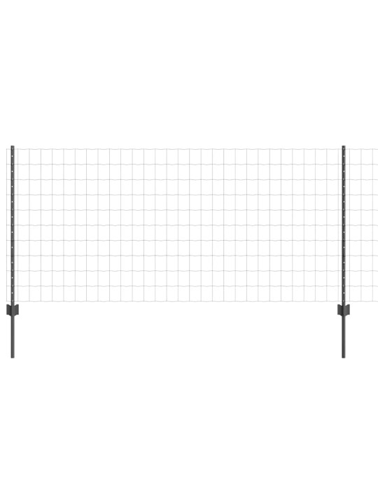 Aed koos postidega hall 1 x 10 m teras