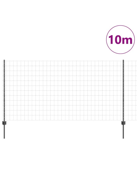 Aed koos postidega hall 1.2 x 10 m teras