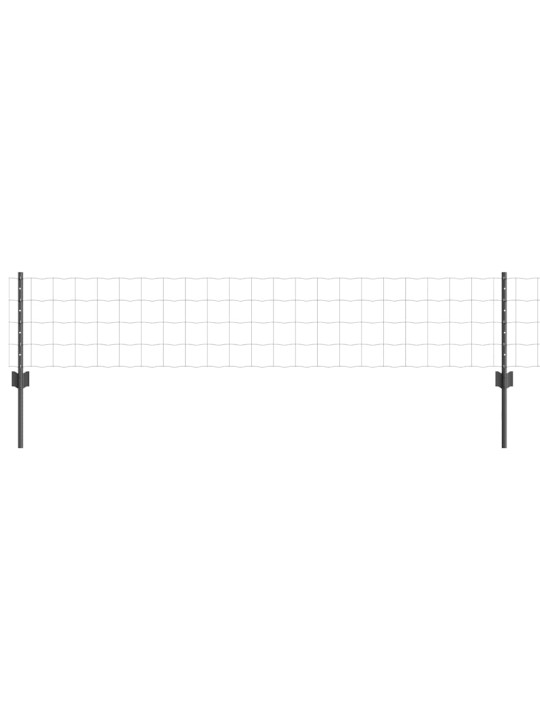 Aed koos postidega hall 0.4 x 10 m teras