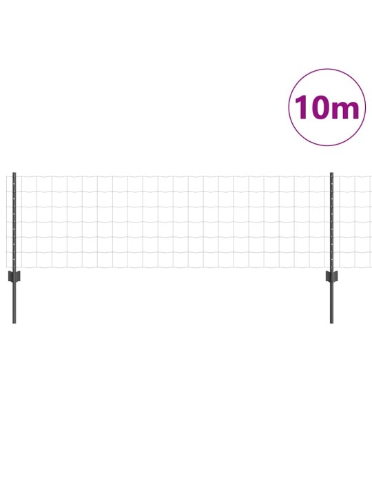Aed koos postidega hall 0.6 x 10 m teras