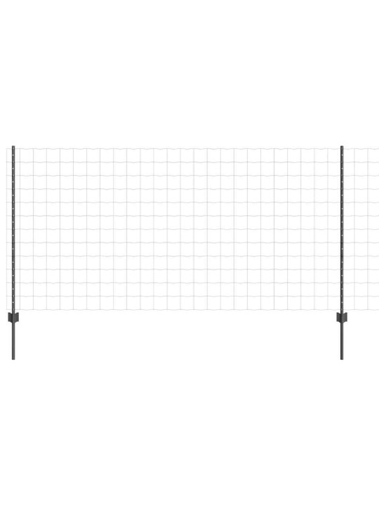 Aed koos postidega hall 1.2 x 10 m teras