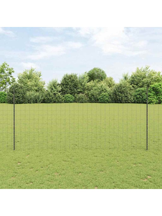 Aed koos postidega hall 1.4 x 10 m teras