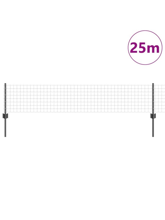 Aed koos postidega hall 0.4 x 25 m teras