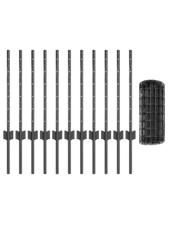 Aed koos postidega hall 0.6 x 25 m teras