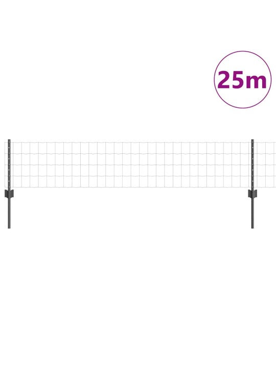 Aed koos postidega hall 0.4 x 25 m teras