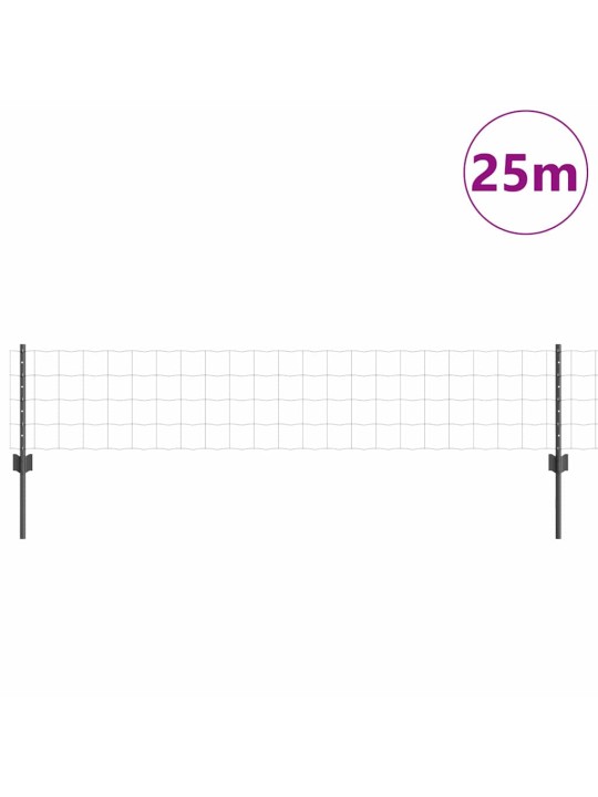 Aed koos postidega hall 0.4 x 25 m teras