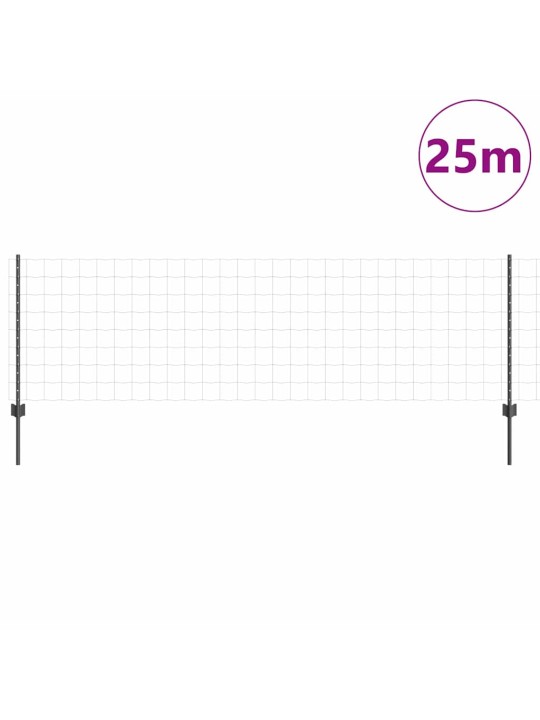 Aed koos postidega hall 0.8 x 25 m teras
