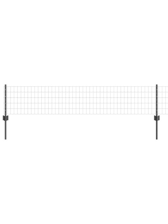 Aed koos postidega hall 0.4 x 50 m teras