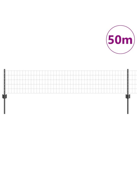 Aed koos postidega hall 0.4 x 50 m teras