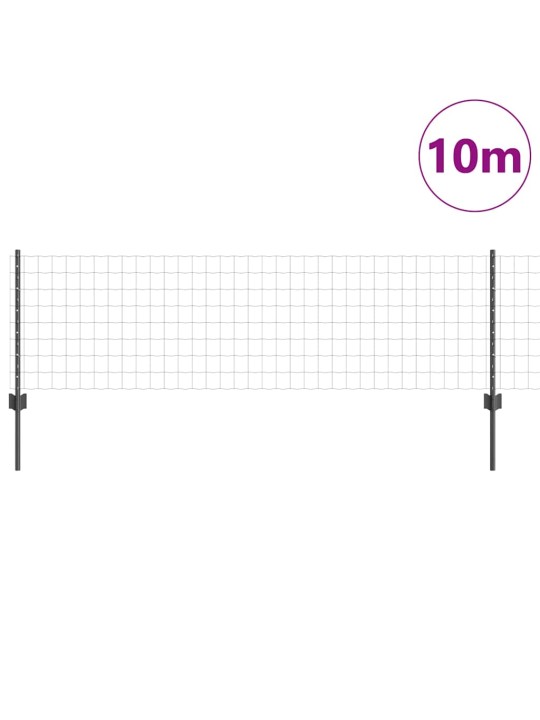 Aed koos postidega hall 0.6 x 10 m teras