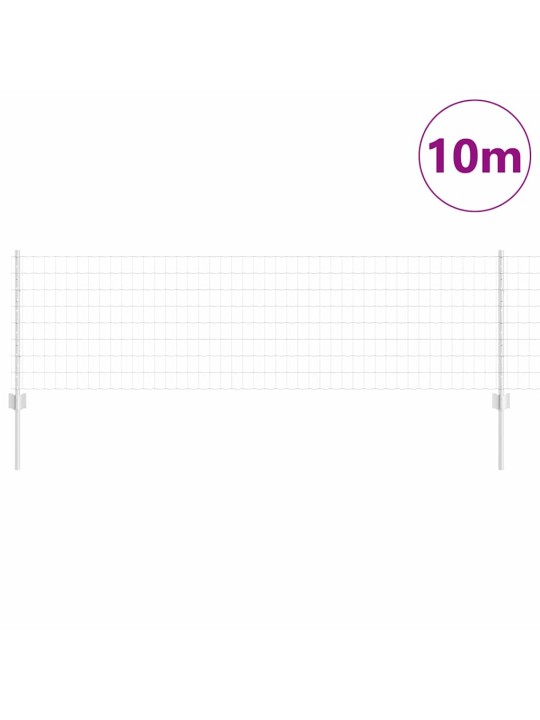 Aed koos postidega hõbedane 0.6 x 10 m teras