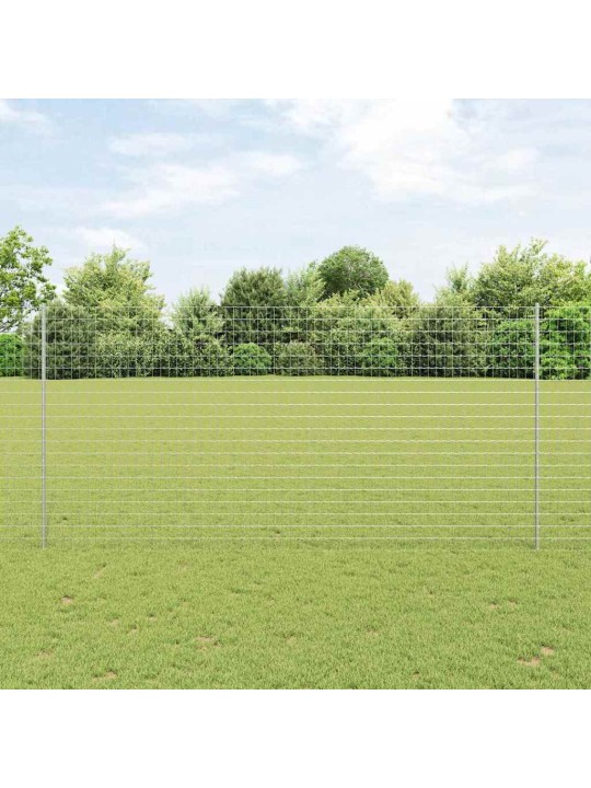 Aed koos postidega hõbedane 1.6 x 10 m teras