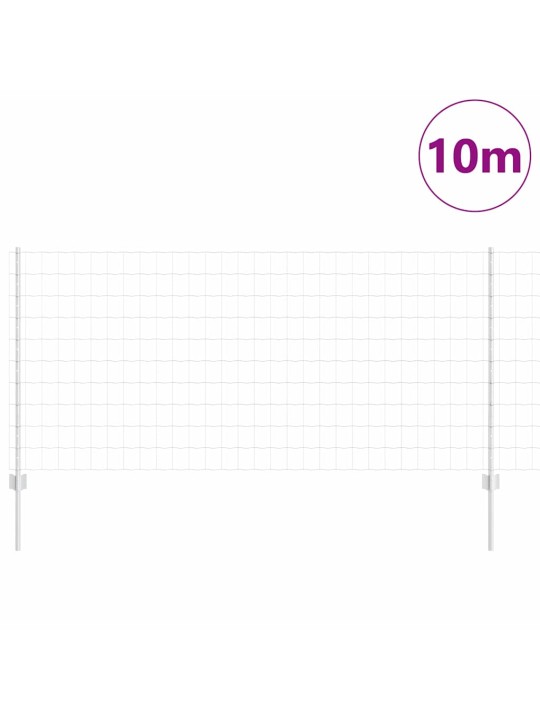 Aed koos postidega hõbedane 1 x 10 m teras