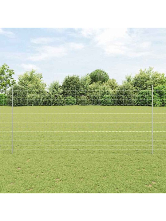Aed koos postidega hõbedane 1.6 x 10 m teras