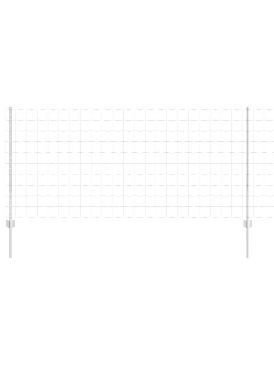 Aed koos postidega hõbedane 1 x 10 m teras