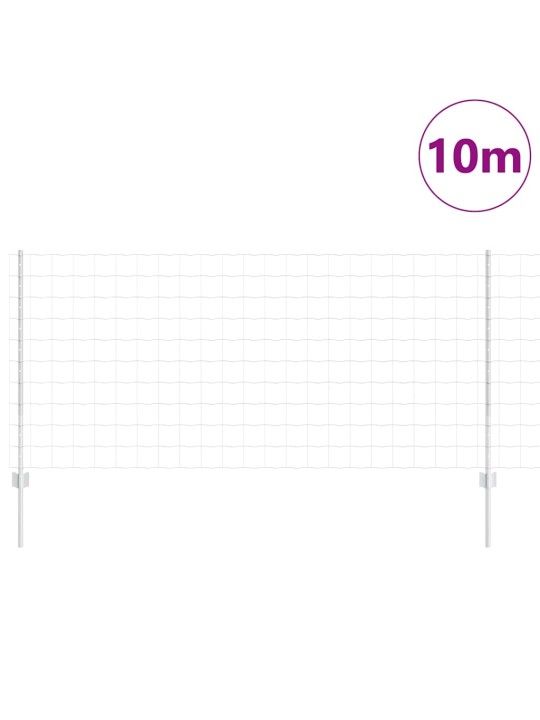 Aed koos postidega hõbedane 1 x 10 m teras