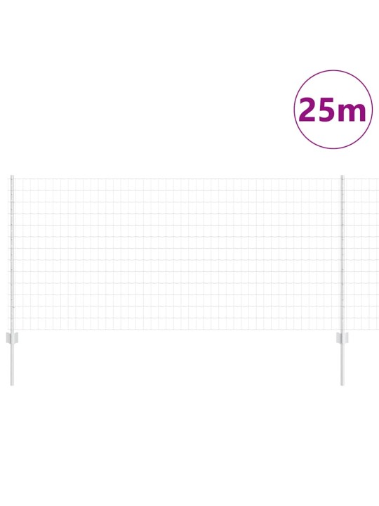 Aed koos postidega hõbedane 1 x 25 m teras