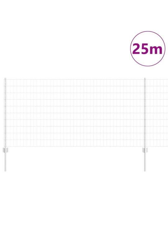 Aed koos postidega hõbedane 1 x 25 m teras