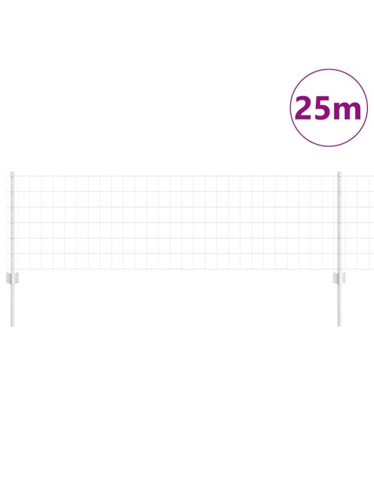 Aed koos postidega hõbedane 0.6 x 25 m teras