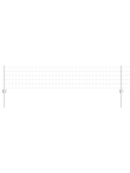 Aed koos postidega hõbedane 0.4 x 10 m teras