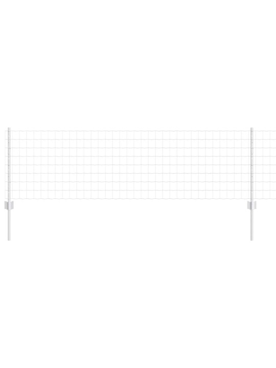 Aed koos postidega hõbedane 0.6 x 10 m teras
