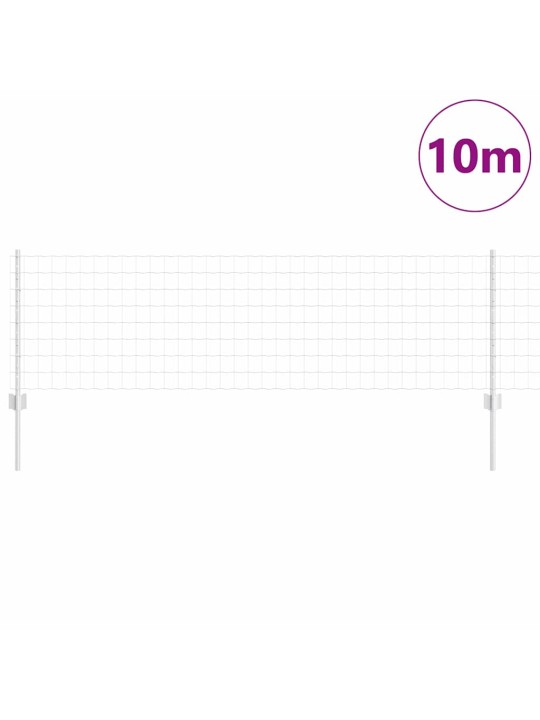 Aed koos postidega hõbedane 0.6 x 10 m teras