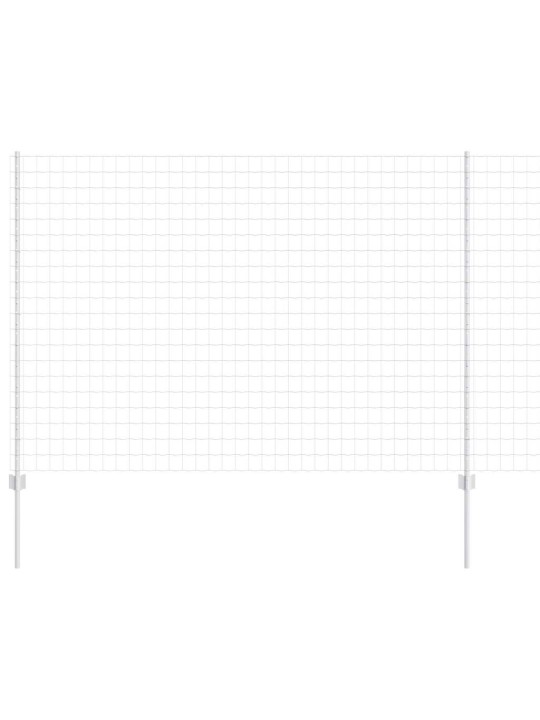 Aed koos postidega hõbedane 1.5 x 10 m teras