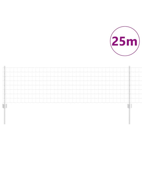 Aed koos postidega hõbedane 0.6 x 25 m teras